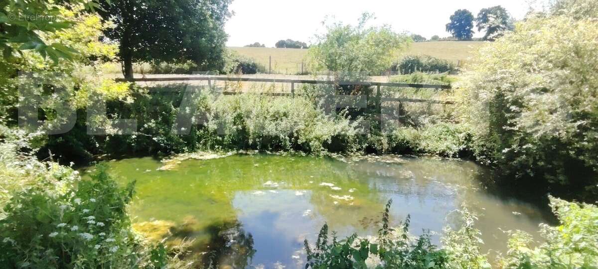 IMG-20250715-WA0015 - Maison à CREVECOEUR-EN-AUGE