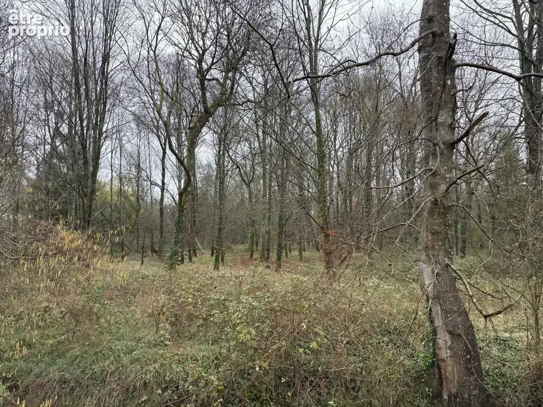 Terrain 49 799 m² à vendre à Les Fosses (79360) - photo 2