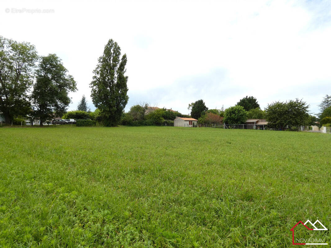 Terrain à SAINT-ANTOINE-CUMOND