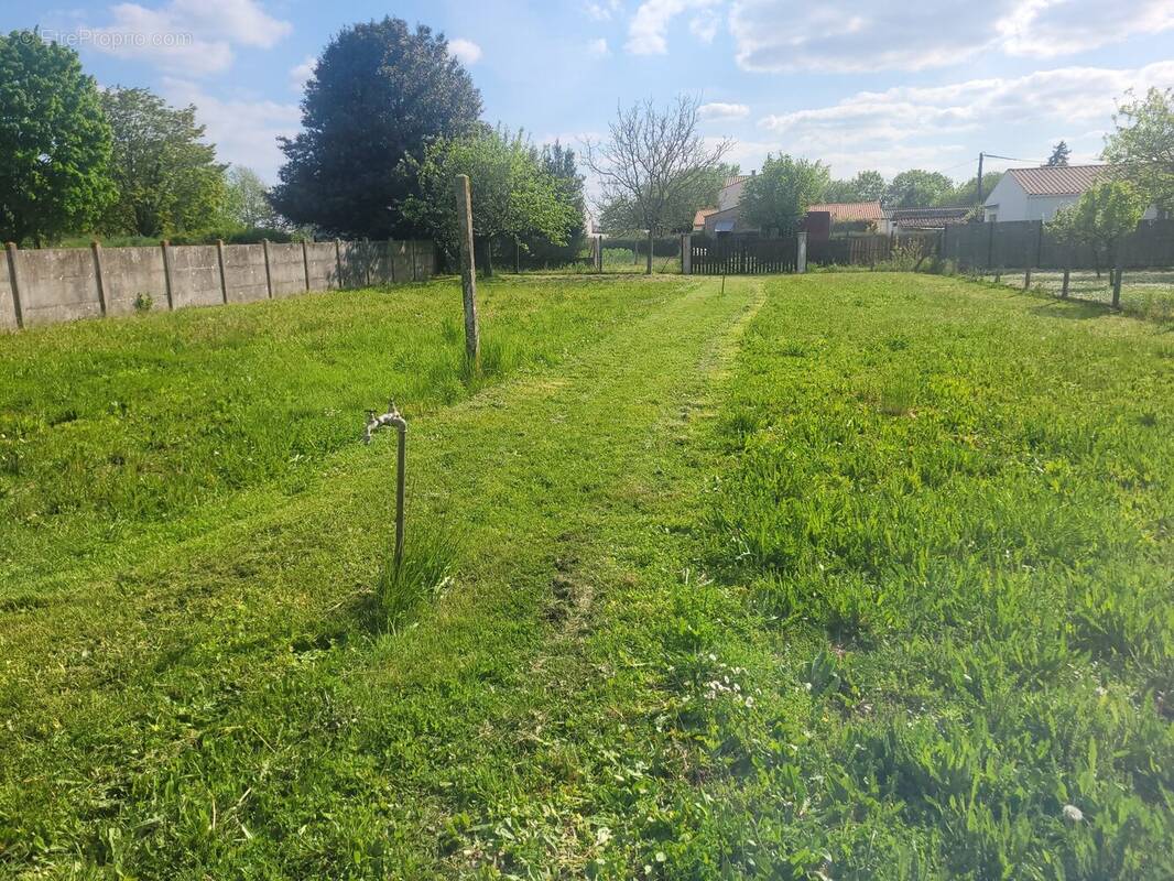 Terrain à SURGERES