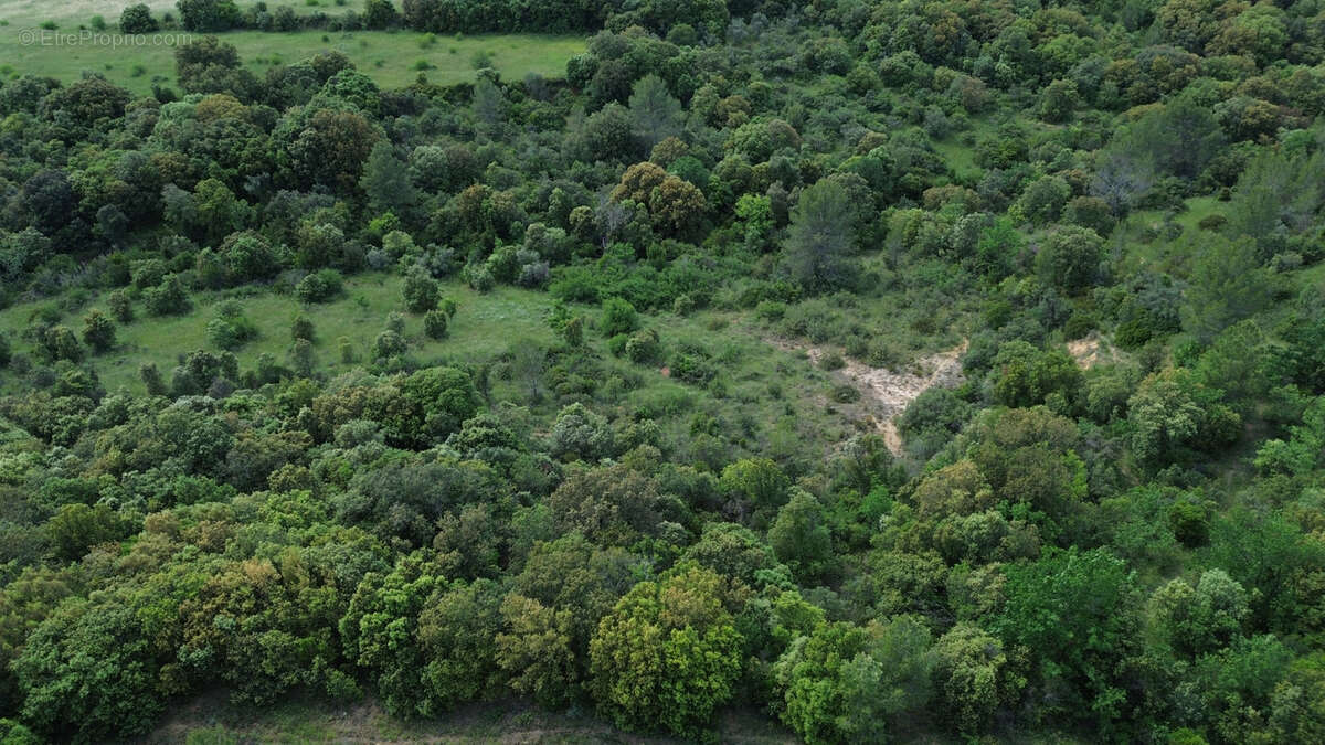 Terrain à PUECHABON