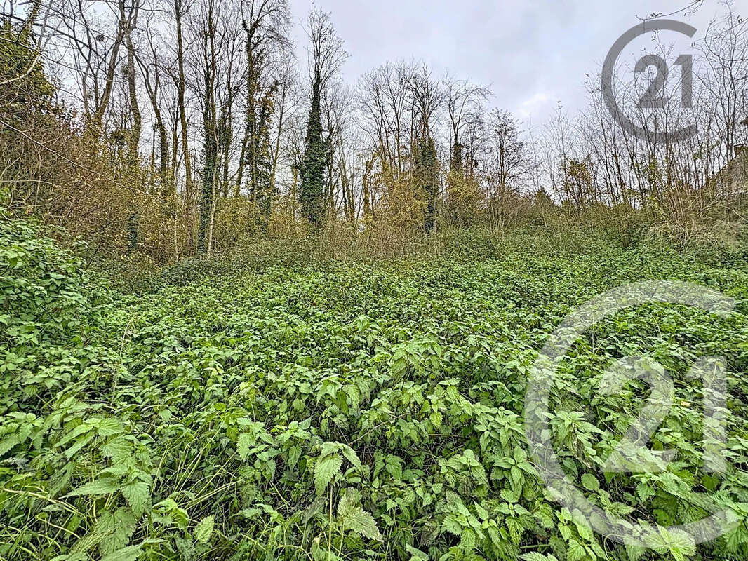 Terrain à CHALAUTRE-LA-PETITE