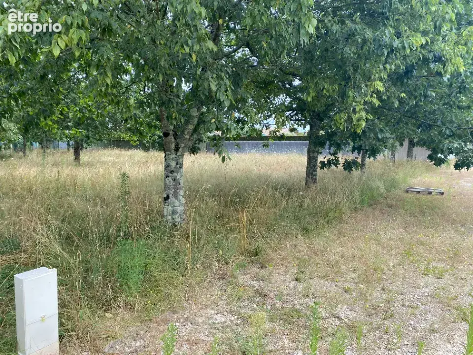 Terrain à LE POUT