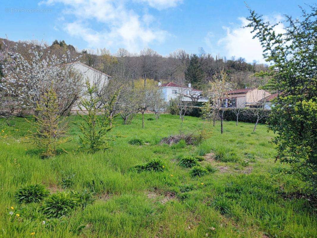 Terrain à MONTESQUIEU-VOLVESTRE