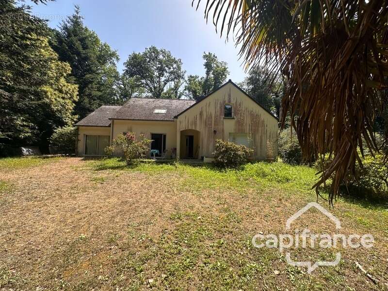 Maison familiale de 225 m² avec dépendance sur 3 022 m² - Domaine de Carheil à Plessé - photo 19