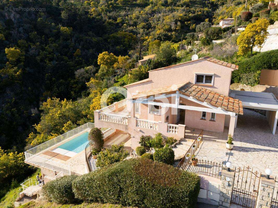 Maison à MANDELIEU-LA-NAPOULE