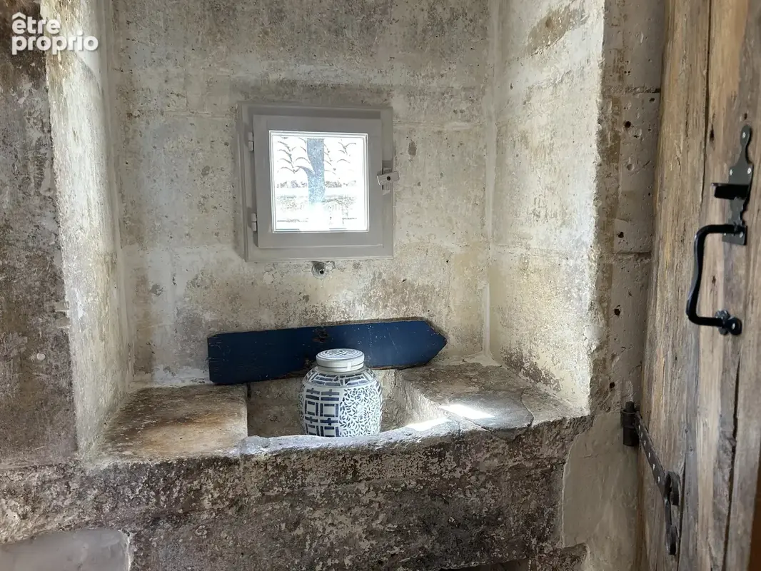 Propriété d’exception avec piscine et dépendances - photo 17