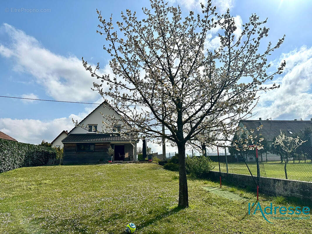 Maison à FESSENHEIM