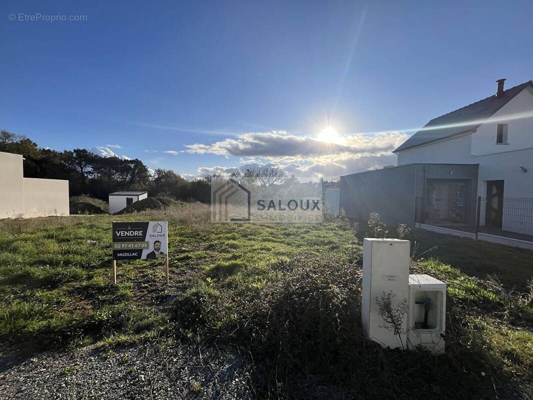 Terrain à MUZILLAC