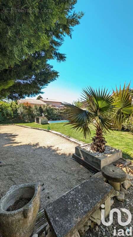 Photo 4 - Maison à CAVAILLON