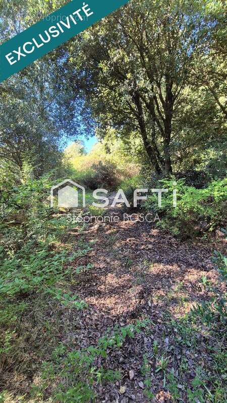 Photo 9 - Terrain à PIETROSELLA