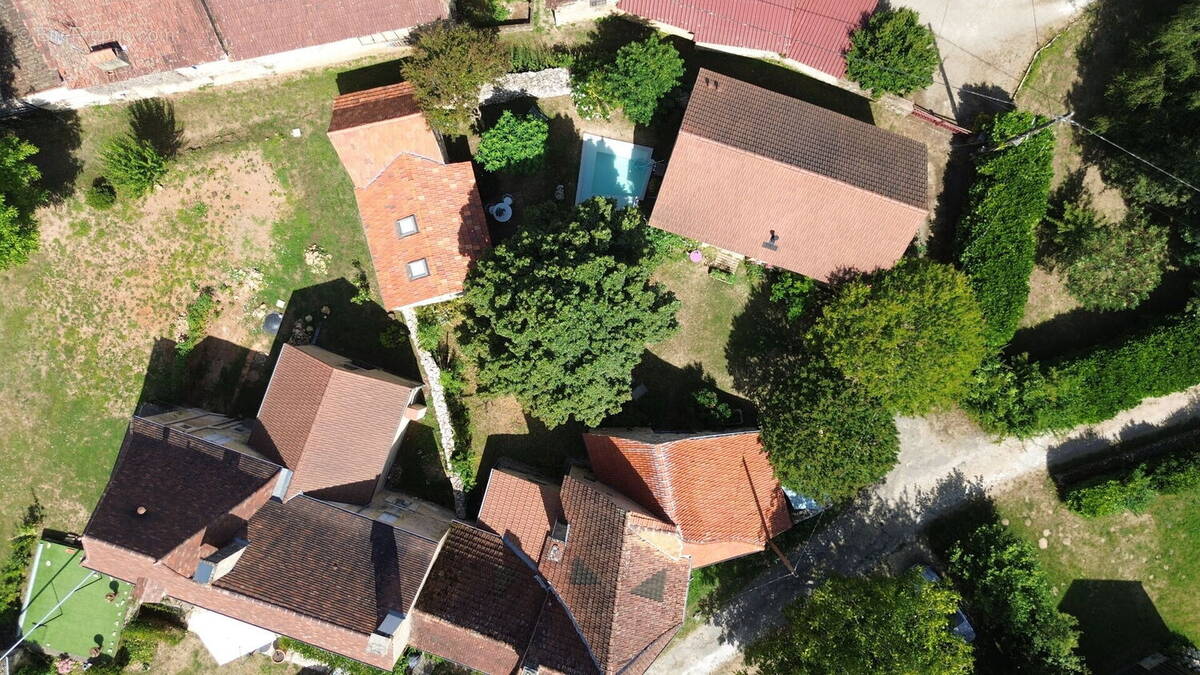 DJI0873 - Maison à SAINT-CYPRIEN