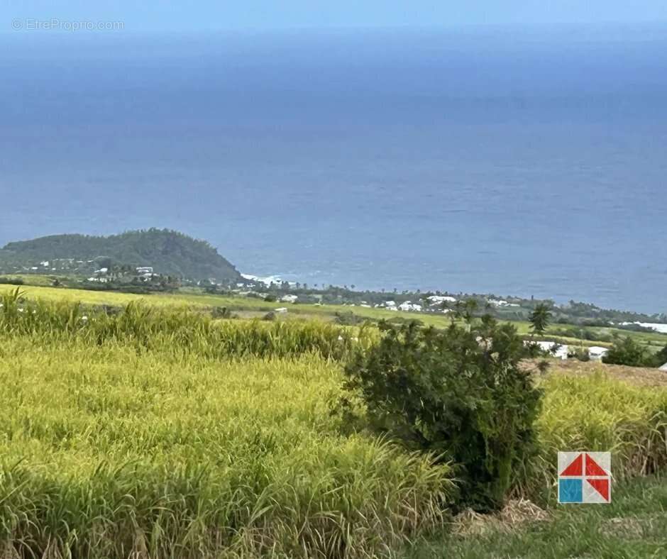 Terrain à SAINT-PIERRE