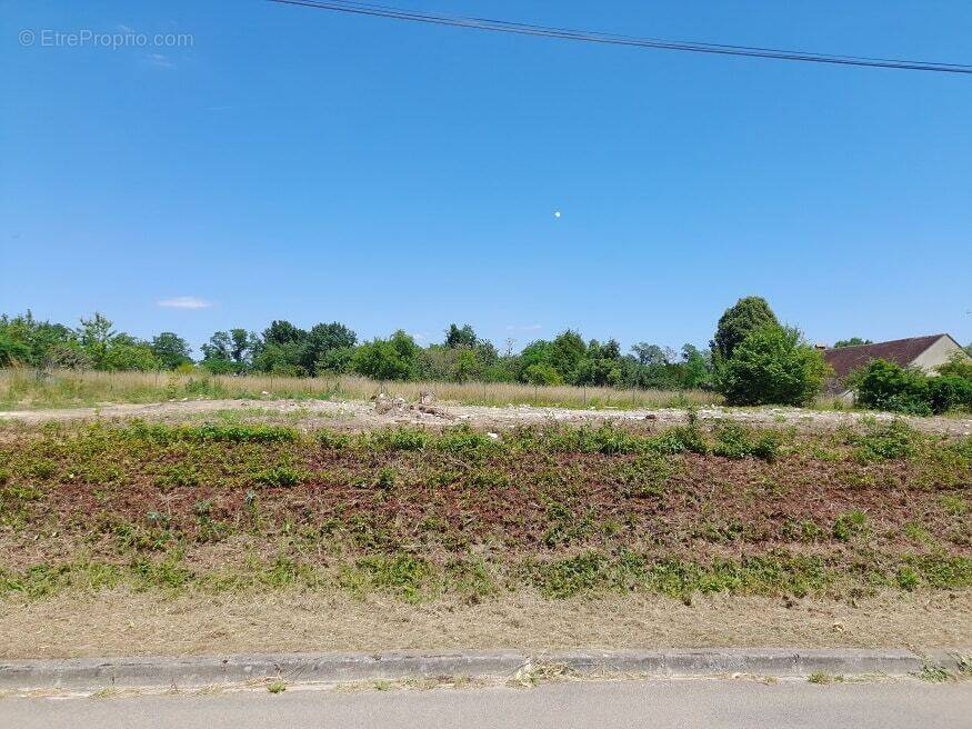 Terrain à LADUZ