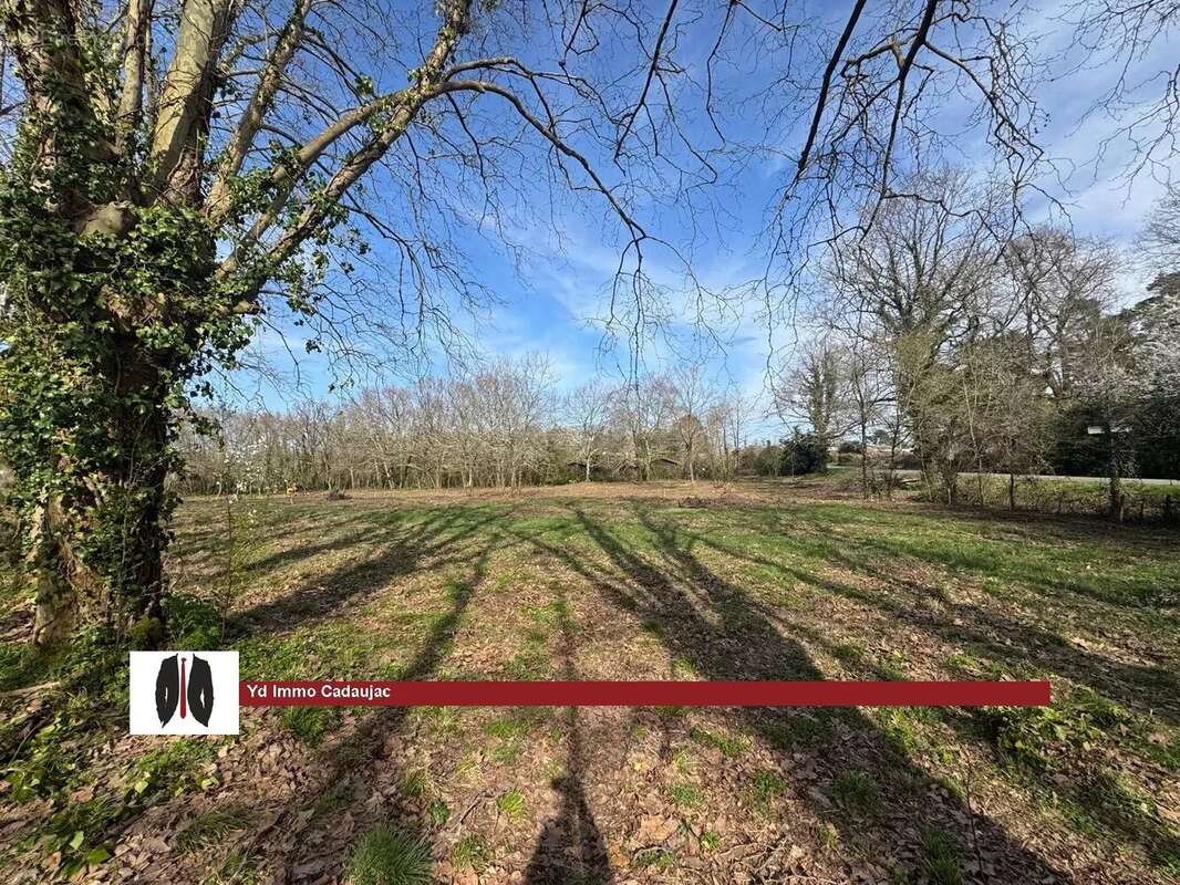 Terrain à MARTILLAC
