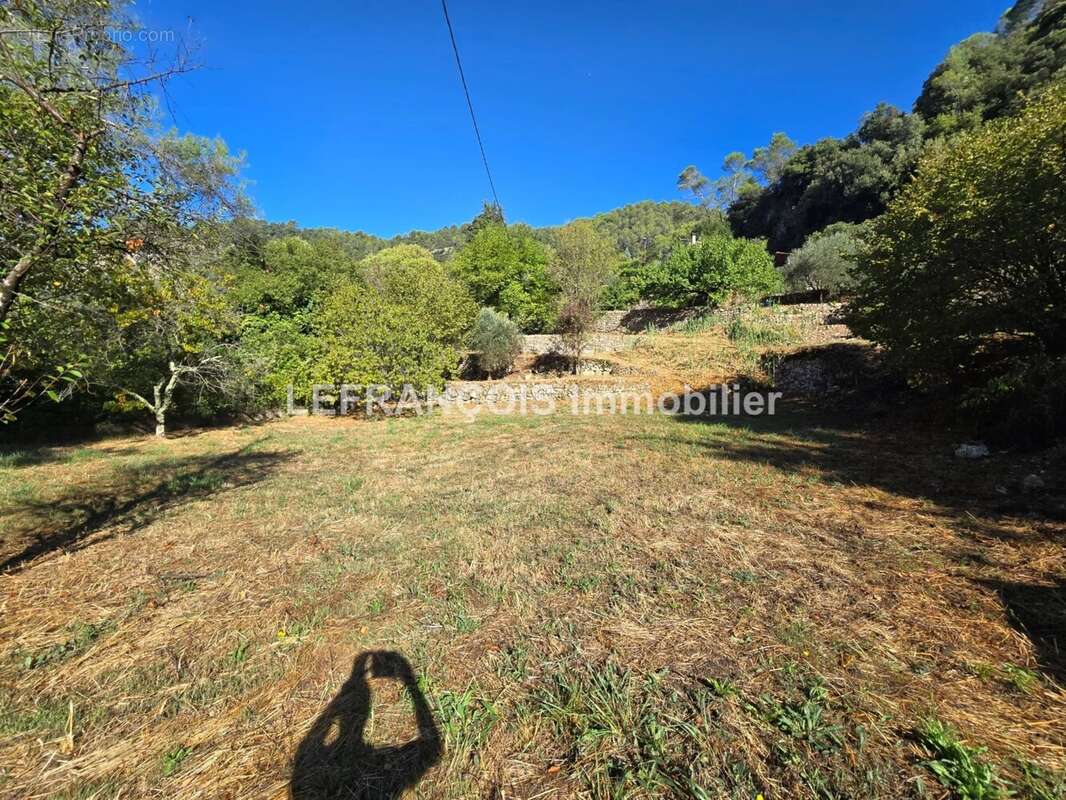 Terrain à LE TIGNET