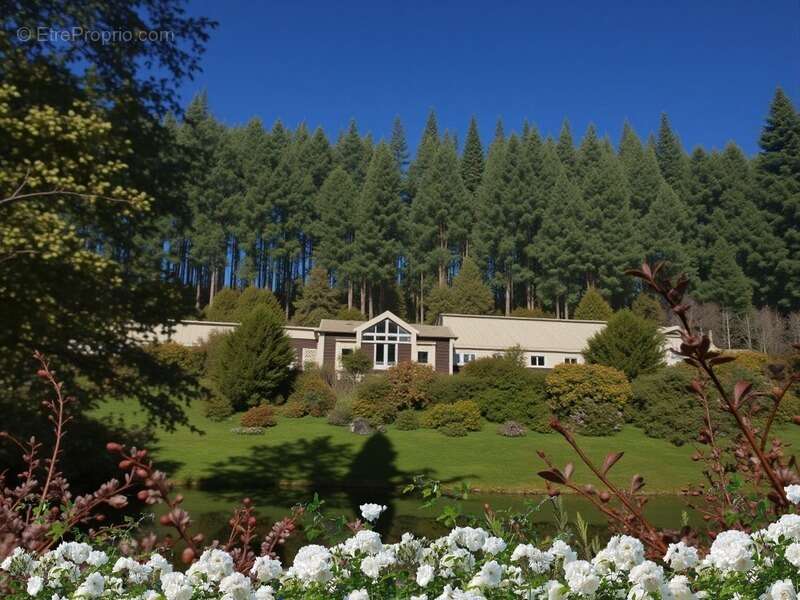 Maison à REMIREMONT