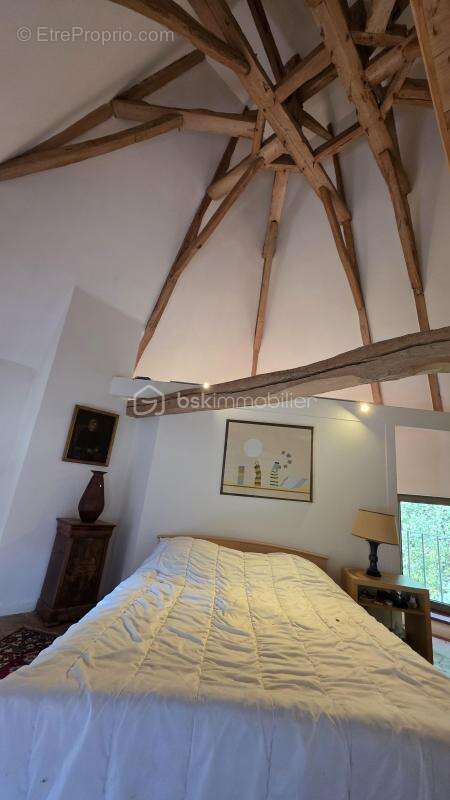 Moulin et dependances -jardin de 4 hectares - photo 20