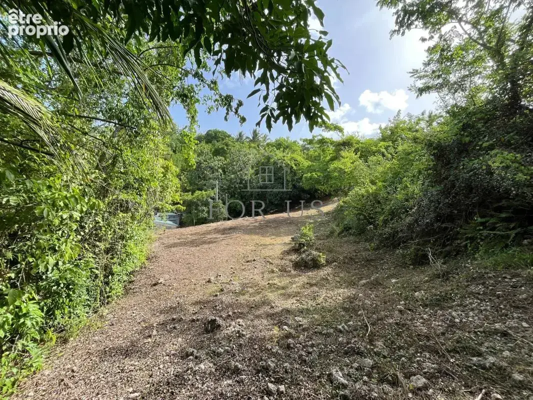 A vendre : terrain de 1072 m² au gosier (97190) - photo 6