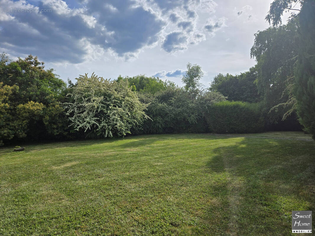 Terrain à SAINT-REMY-LES-CHEVREUSE