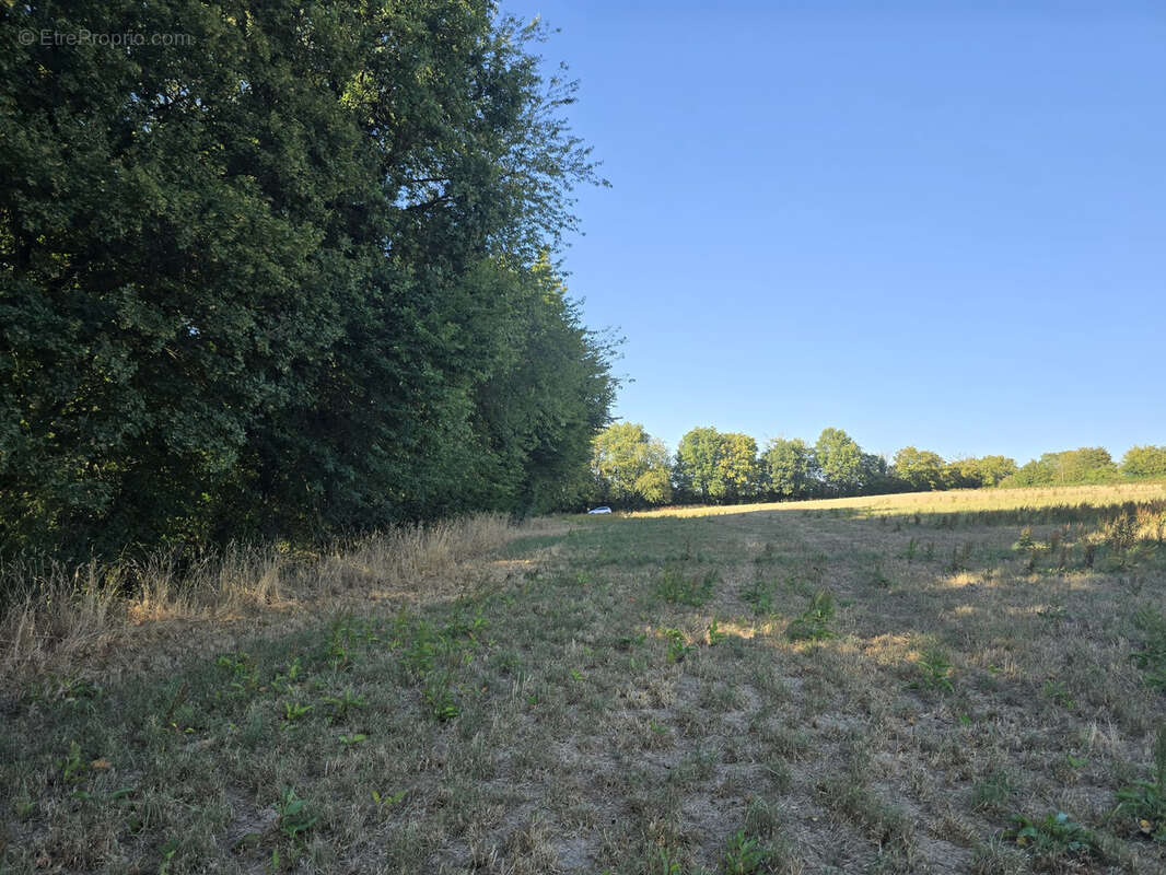 Ensemble foncier de 5 ha 78 a 43 ca   Cernoy-en-Berry - photo 4