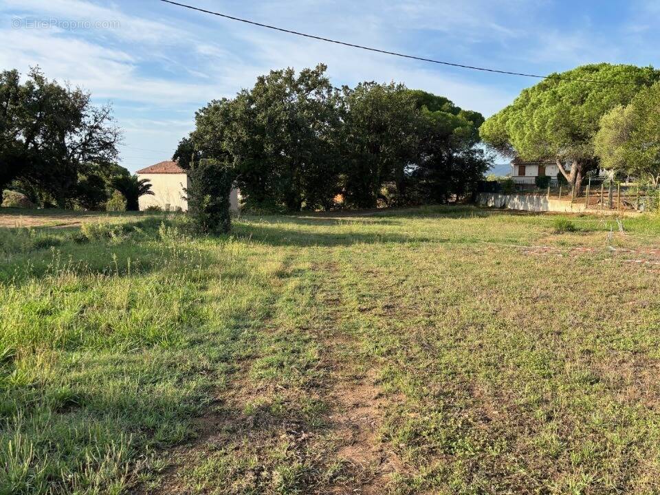 Terrain à FREJUS