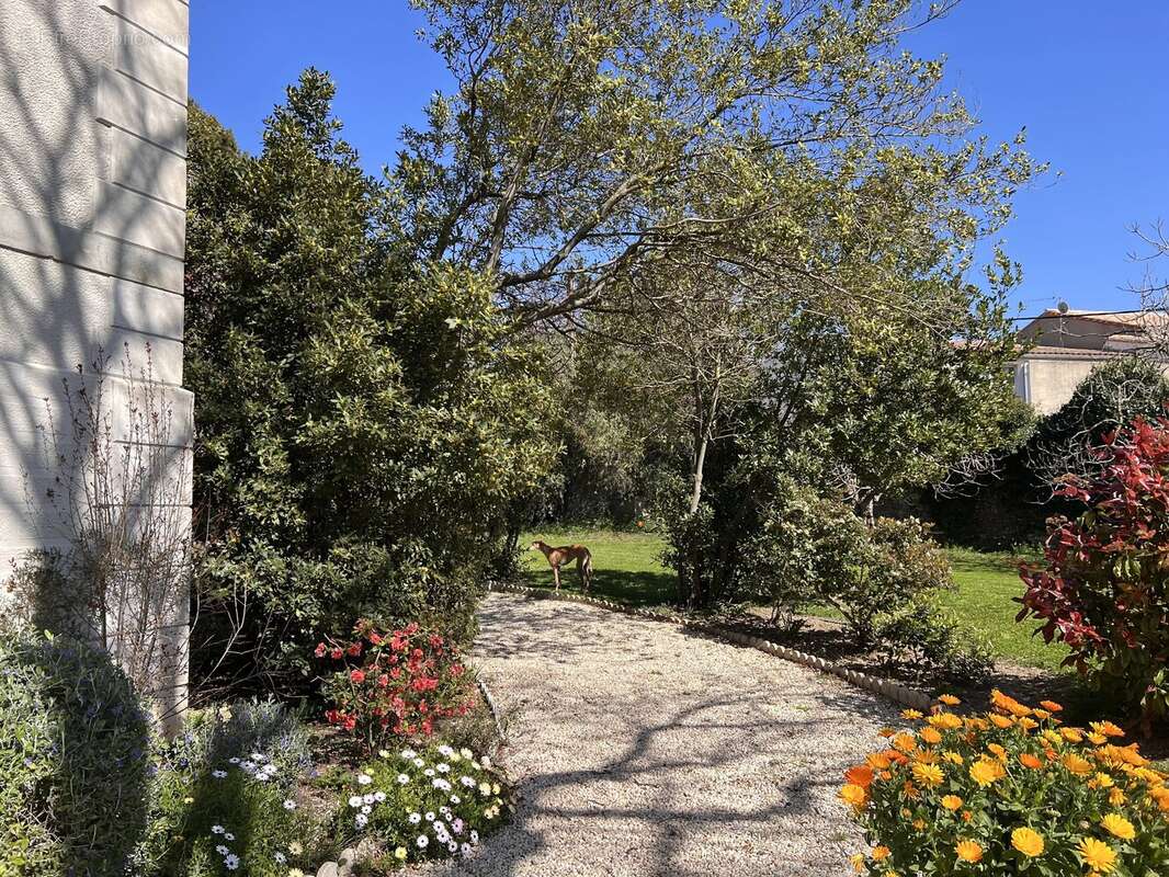 Maison à CARCASSONNE