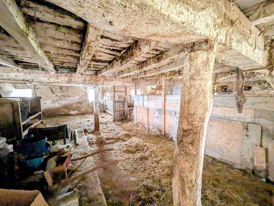 Autre à SAINT-MAMET-LA-SALVETAT