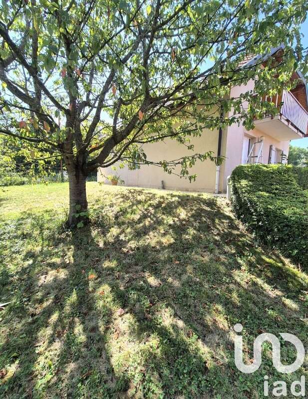 Photo 6 - Maison à NEYDENS