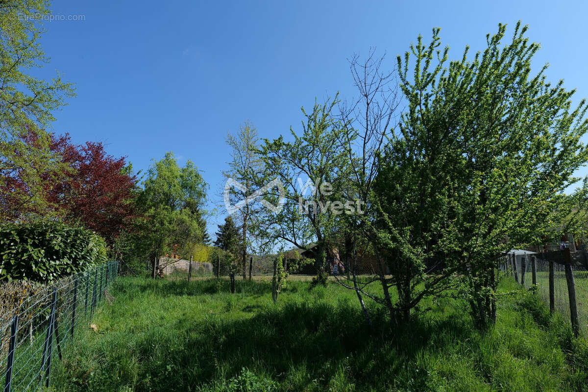 Terrain à CHASSELAY