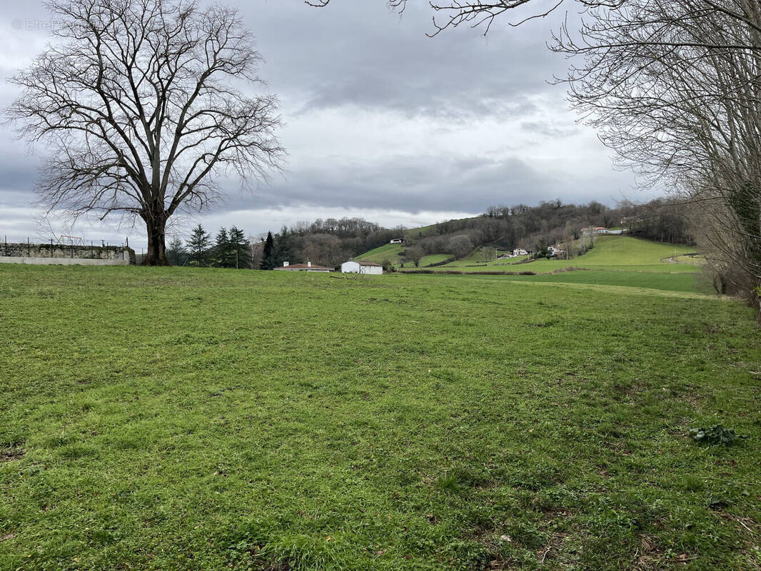 Photo 1 - Terrain à ARMENDARITS