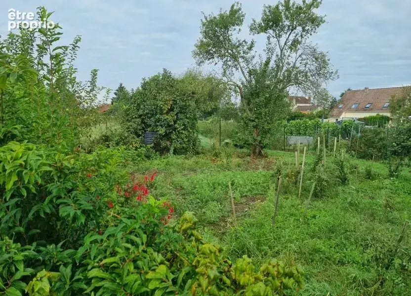 Photo Terrain à Perthes au prix de 180 000€