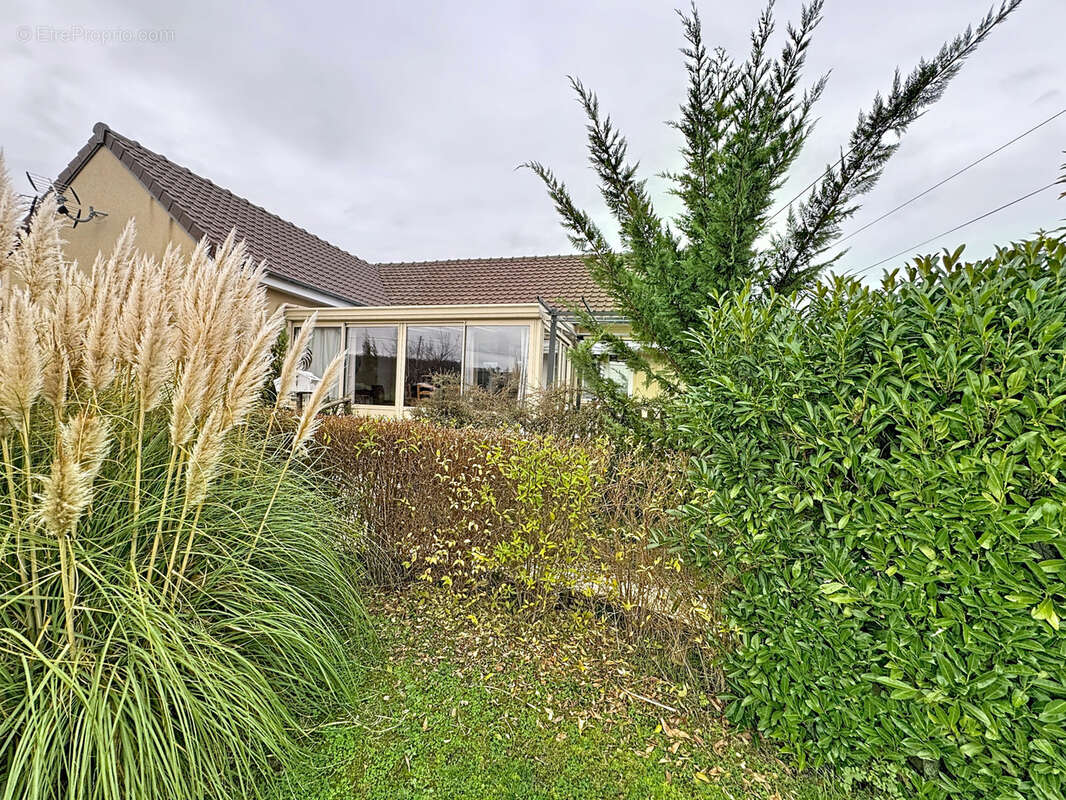 Maison à MONTMIRAIL