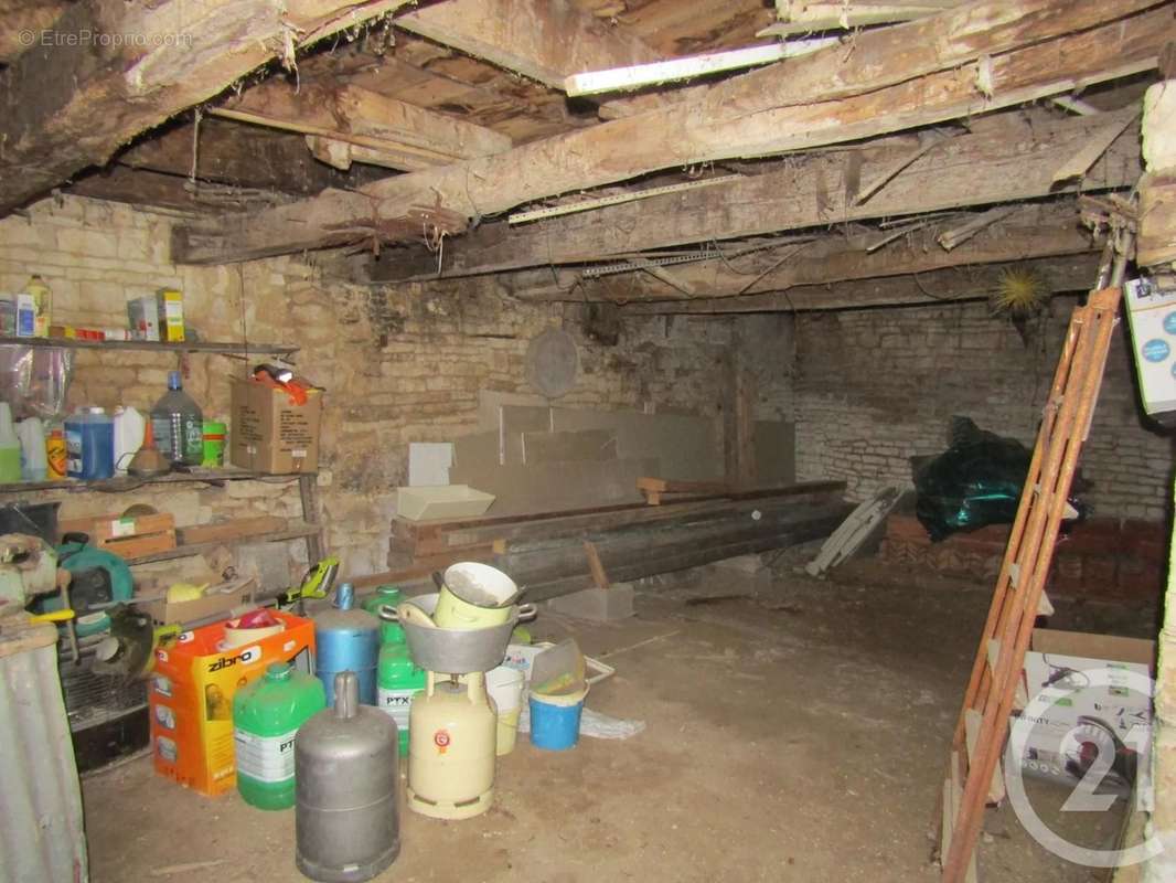 Maison à COUTURE-D&#039;ARGENSON