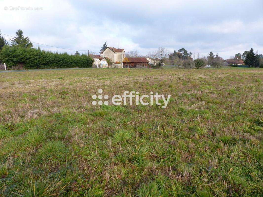 Terrain 2542 m² à Saint-Gery  - photo 4