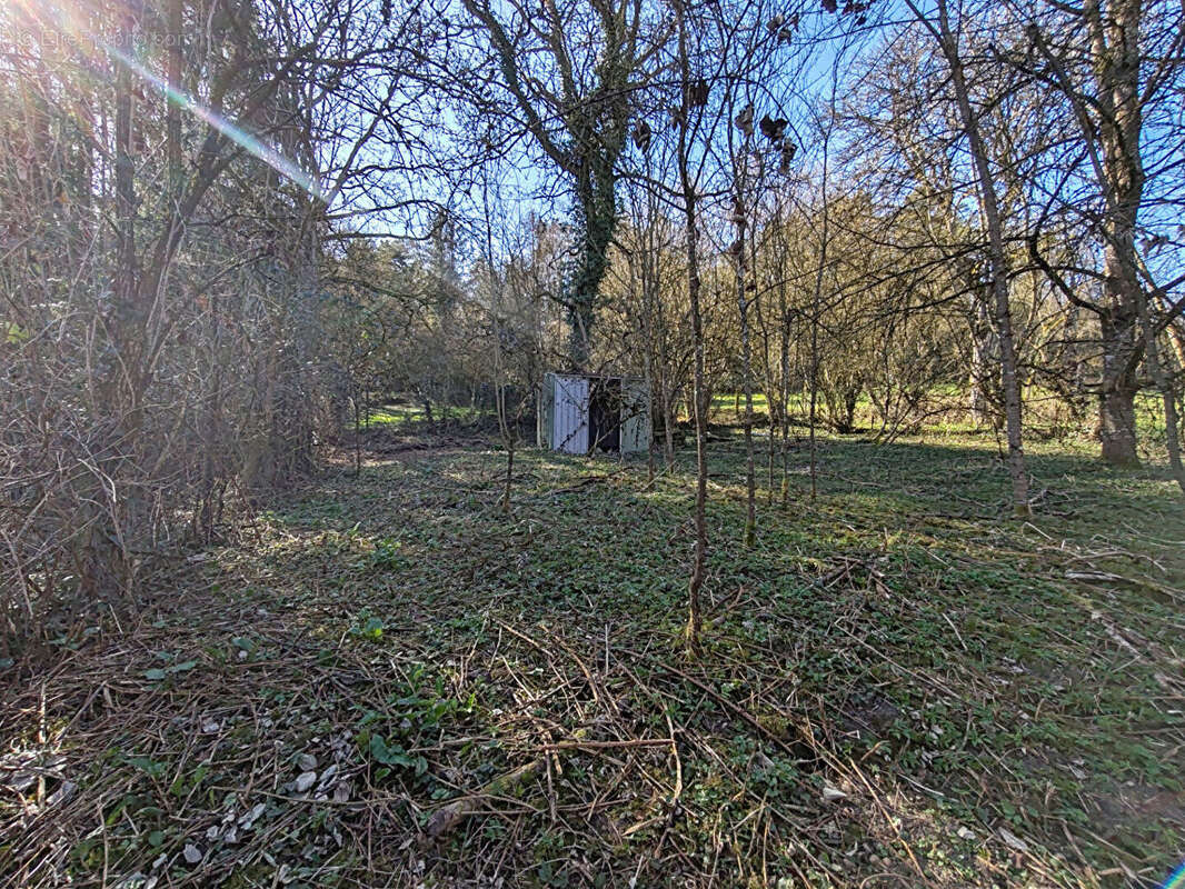 Maison à BETTVILLER