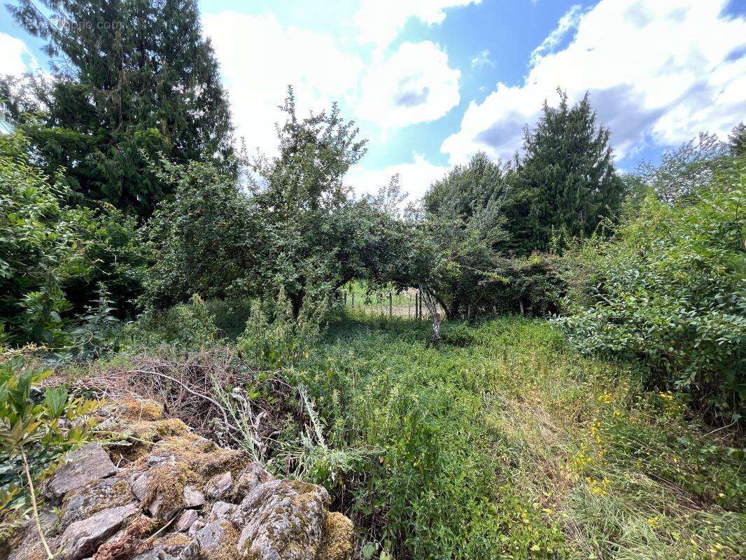 Maison à SAINT-LAURENT-LES-EGLISES