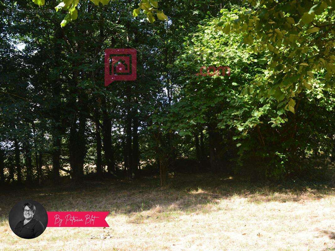 Maison à SAINT-GRAVE