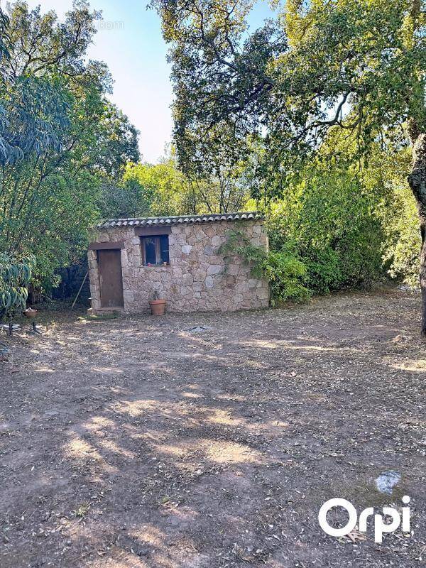 Terrain à PORTO-VECCHIO