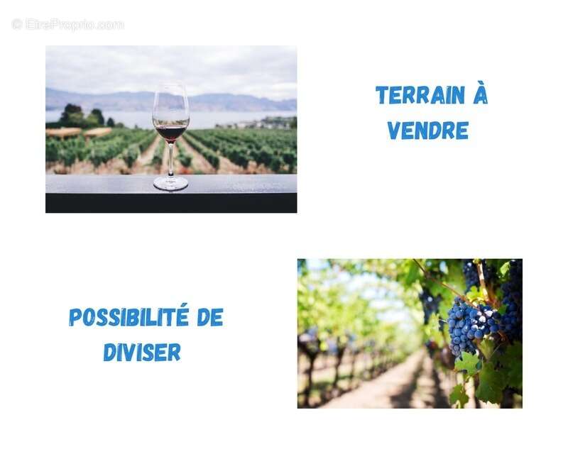 Terrain à SAINT-CHINIAN