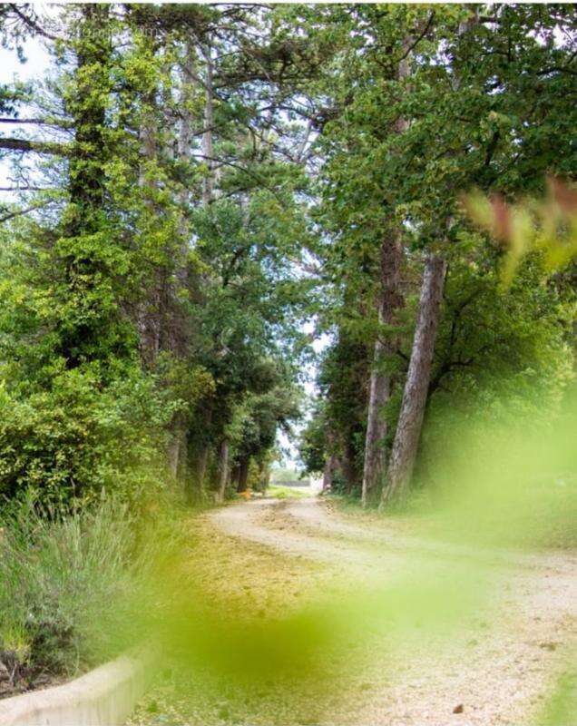 Maison à PONT-SAINT-ESPRIT