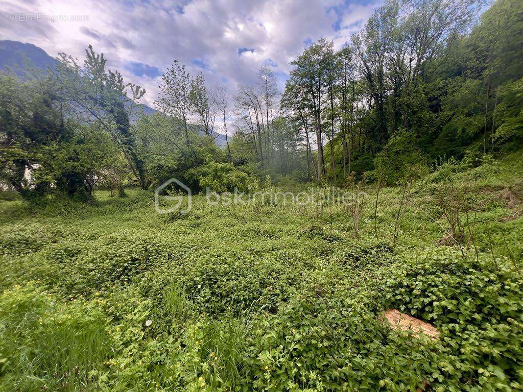 Terrain à LES CHAVANNES-EN-MAURIENNE