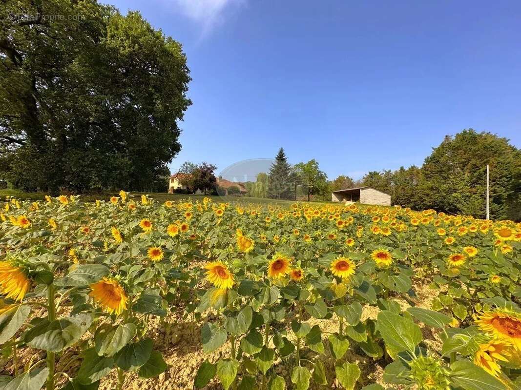 Maison à SAINTE-DODE