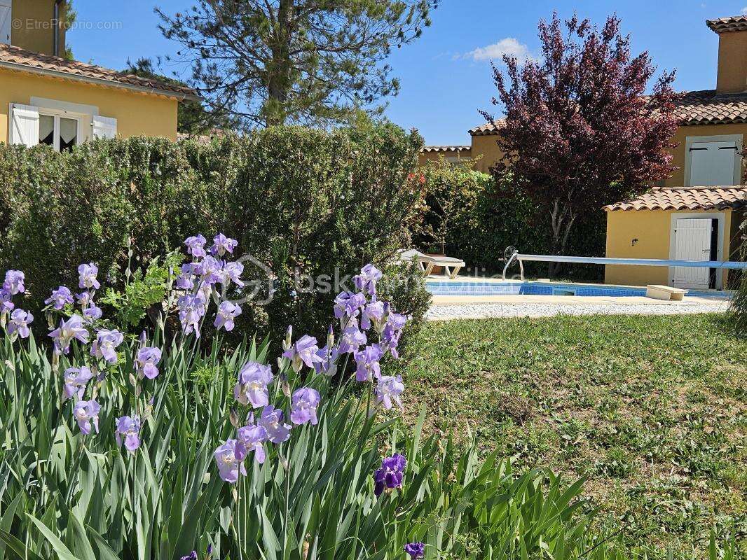 Côte d'Azur - Villa de standing 5 chambres dont suite de plain pied, piscine et beau terrain - photo 5