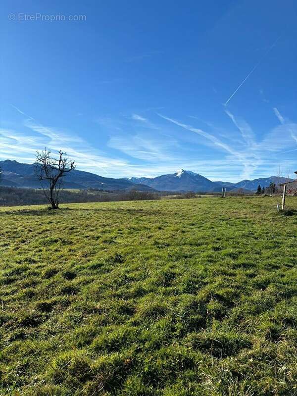 Ancien corps de ferme  T4 /5 sur 5500m² de terrain - photo 12