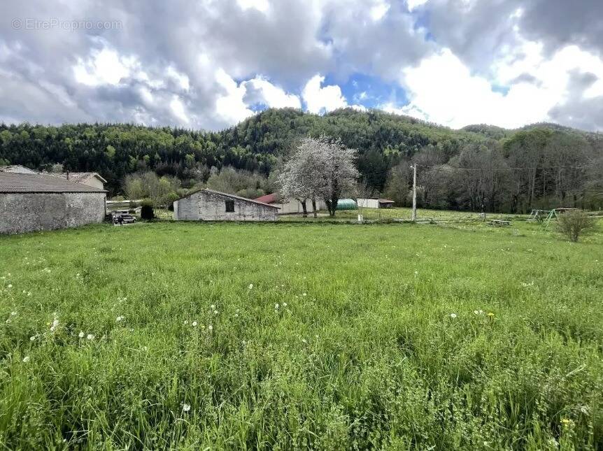 Terrain à ROQUEFEUIL