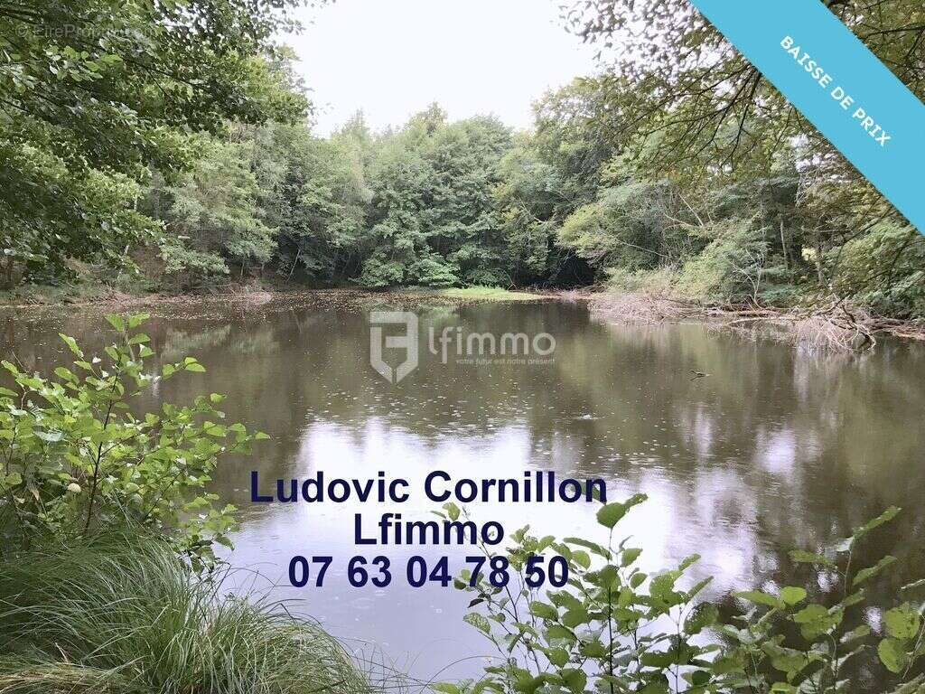 Maison à VICQ-SUR-BREUILH