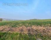 Terrain à SAINT-AMAND-LES-EAUX