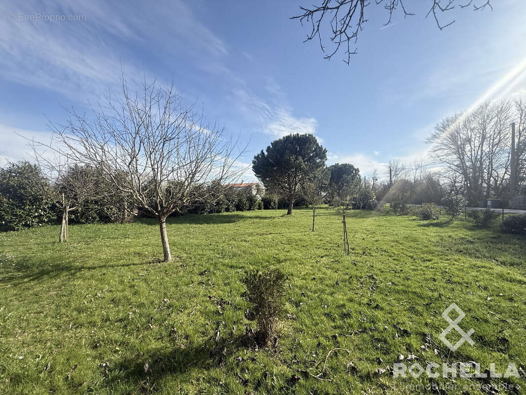 Maison à BLANZAC-LES-MATHA