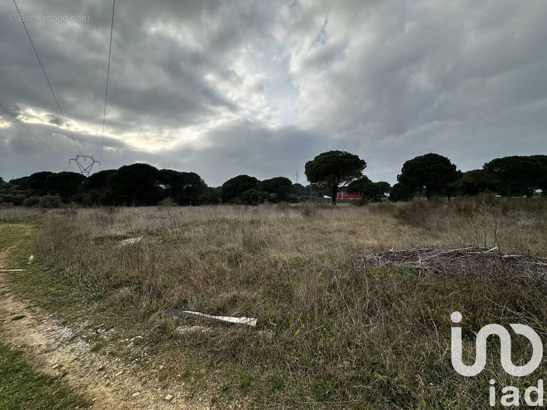 Photo 1 - Terrain à BERNIS
